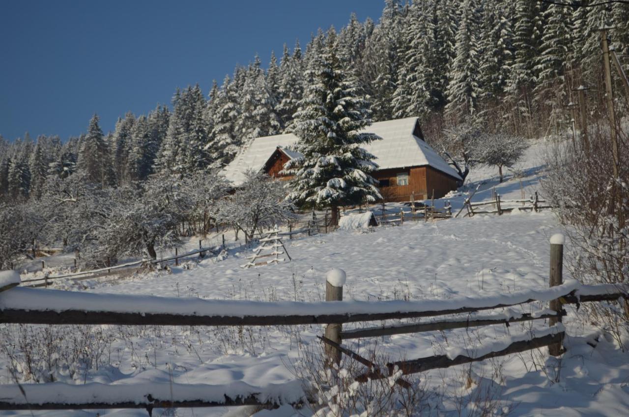 Приватна Садиба "Світлиця Гуцульщини" Vorokhta Exterior photo